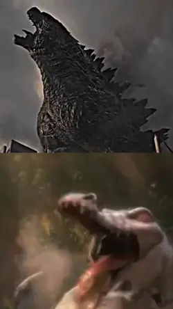 RUDY VS GODZILLA 