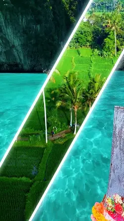 Split Screen Trend 
