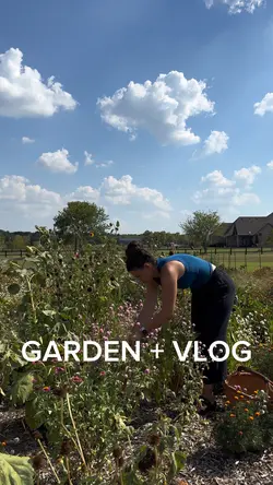Daily Vlog + Garden 
