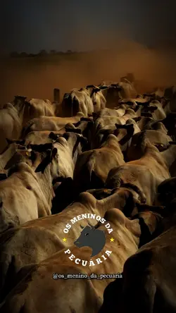 igual fumaça...