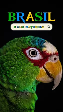 Mostre a natureza.