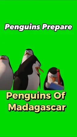 Penguins Prepare