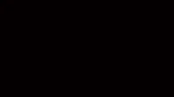 Nilou velo 
