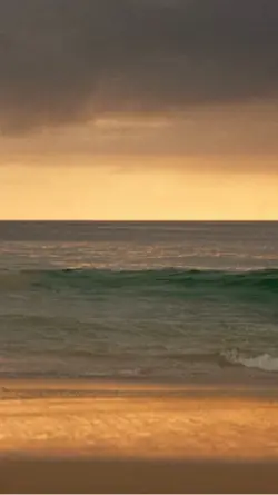 Beaches 