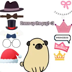 Dress the pug!