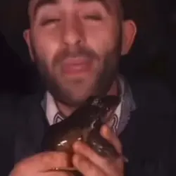 Frog Moaning Meme