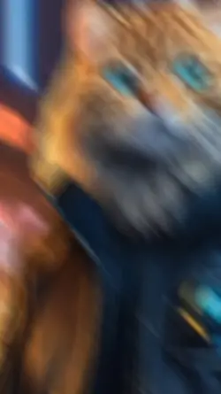 Cat zoom 