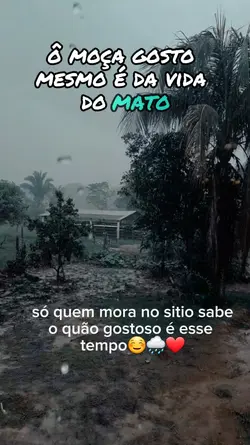 cheiro do interior 