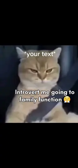Introverted me