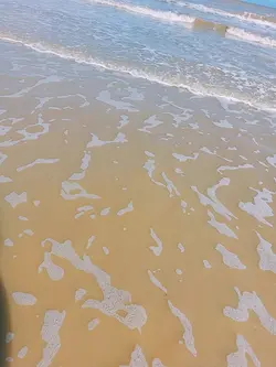 free ocean clip
