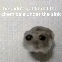nooo