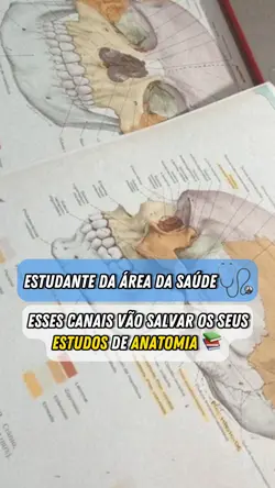 Estudo de anatomia