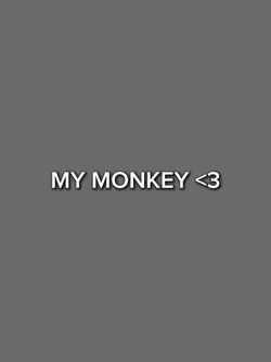 my monkey ❤️