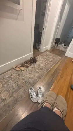 😻😻