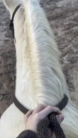 No words❤️