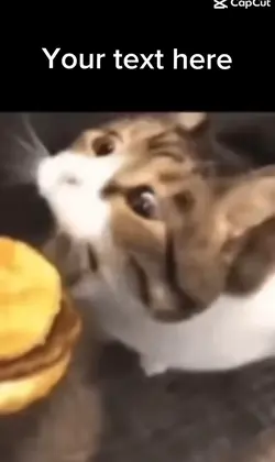 YUM