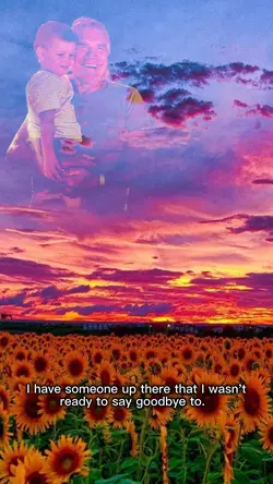 Looking At The Sky