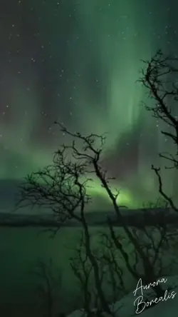 Aurora Borealis 