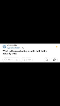 Reddit 