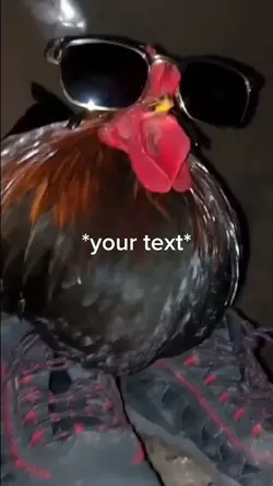 Chicken 
