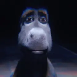 Donkey Rizz
