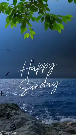 Happy Sunday vibes❤️