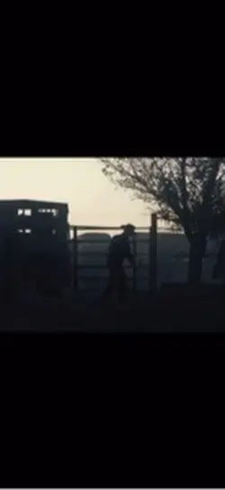Rodeo 