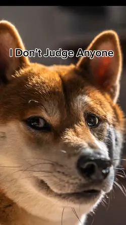 Don’t Judge 