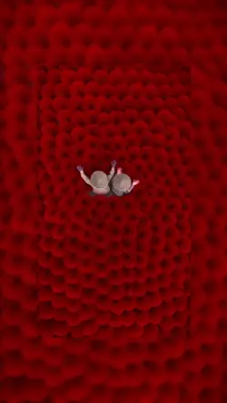 Fundo desficado