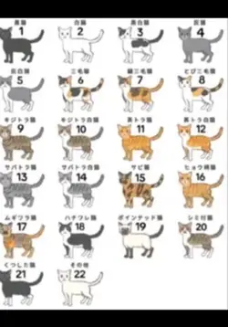 Cat number trend
