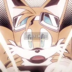 TAILS AND SONIC
