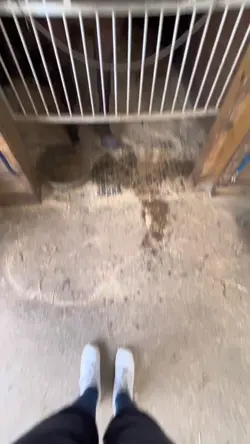 prada!!!