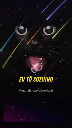 EU TO SOZINHO