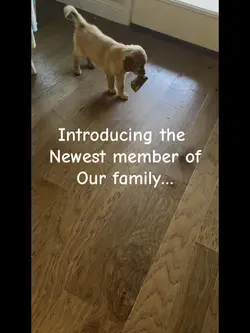 Introducing…