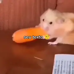 SEU TEXTO 