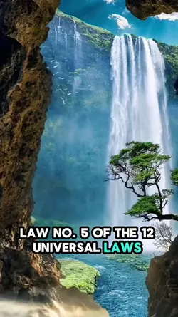 5of12 Universal Law