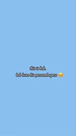 Bob✨