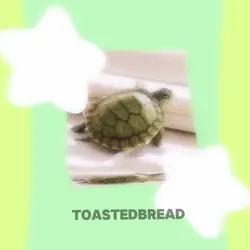 Turtles