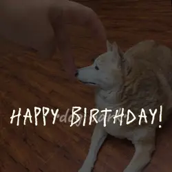 happy bday Abby!