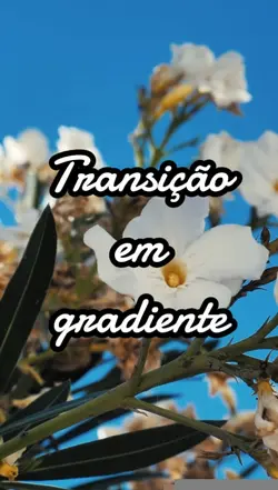 transição