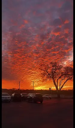 😻Sunsets😻