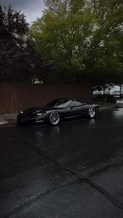 CAR TREND📈