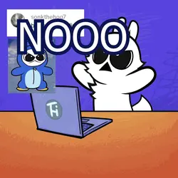 NOOOOOO