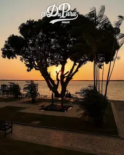 Não me esquecer