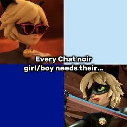Ladybug and cat noir