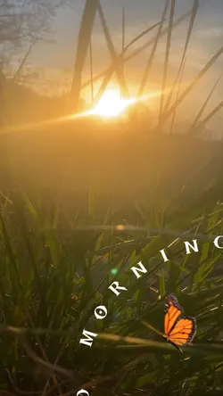 ☀️GOOD MORNING ☀️