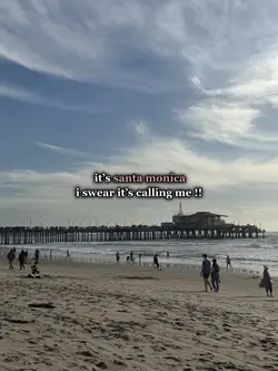 santa monica 🌴🌊