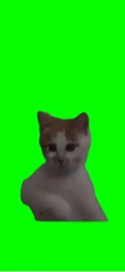 Cat power