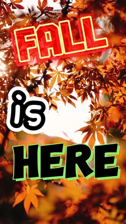 Fall is here