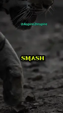 SMASH FEAR… 